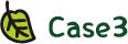 case4