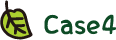 case4