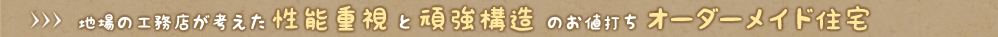 地場の工務店が考えた性能重視と頑強構造のお値打ちオーダーメイド住宅