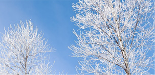 冬の寒い日の場合